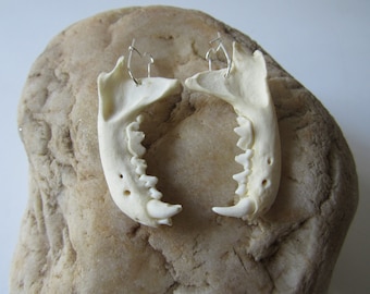 Mink Jawbone Earrings Spirit Jewelry Animal Bone Teeth Jewelry (Neovison Vison)