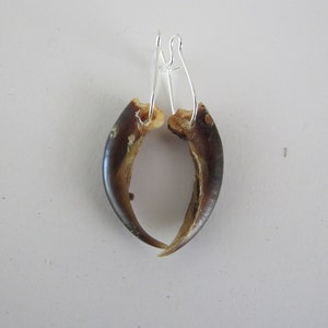 Porcupine Claw Earrings Dangle Animal Bone Jewelry Bone Earrings Claw Earrings