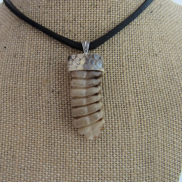 Rattlesnake Skin With Rattler - Etsy