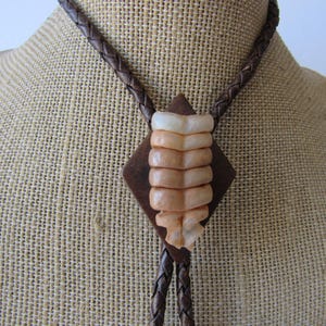 Real Rattlesnake Rattler Bolo Tie Necklace Wedding Gothic Bone Necktie Jewelry N5397