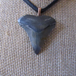 Megalodon Tooth Pendant Shark Tooth Necklace Fossilized Bone Jewelry Natural Carcharocles N5018