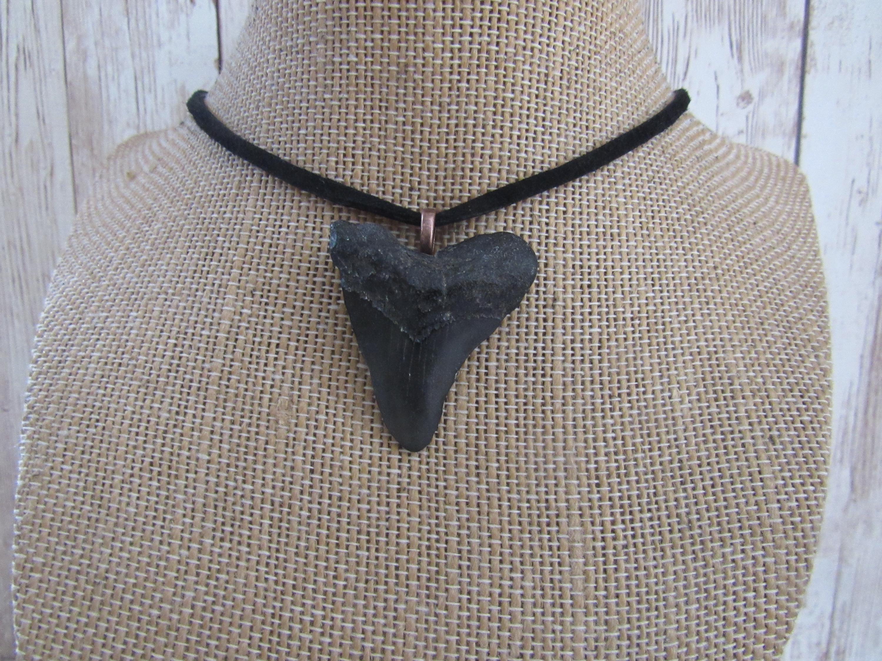 メガロドンの歯ペンダント サメの歯ネックレス 化石骨ジュエリー 天然