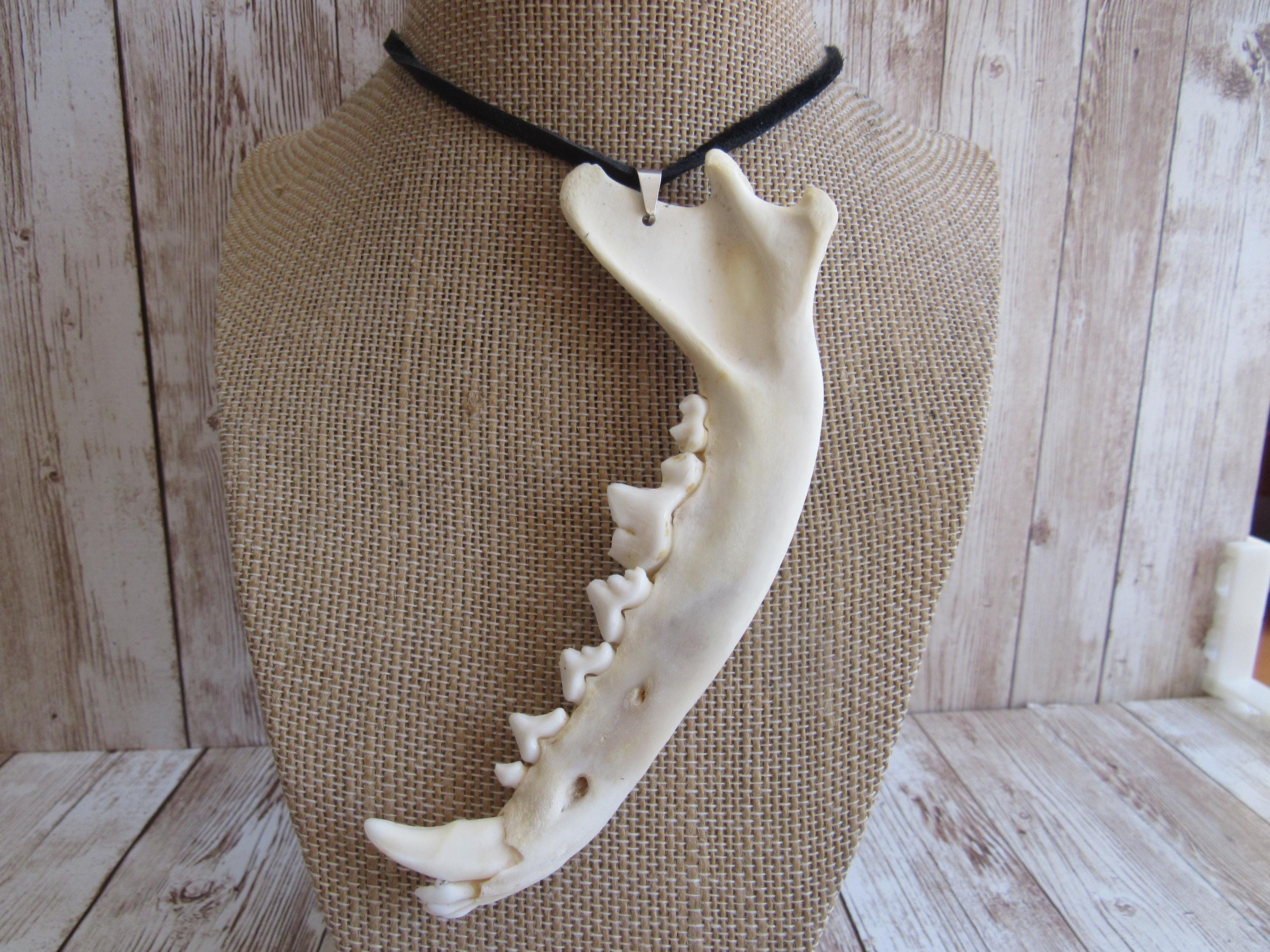 【新品 値札・袋付】Bone Chain Choker TODAYFUL Red Fox Jawbone Pendant Buckskin Leather Necklace Statement Animal