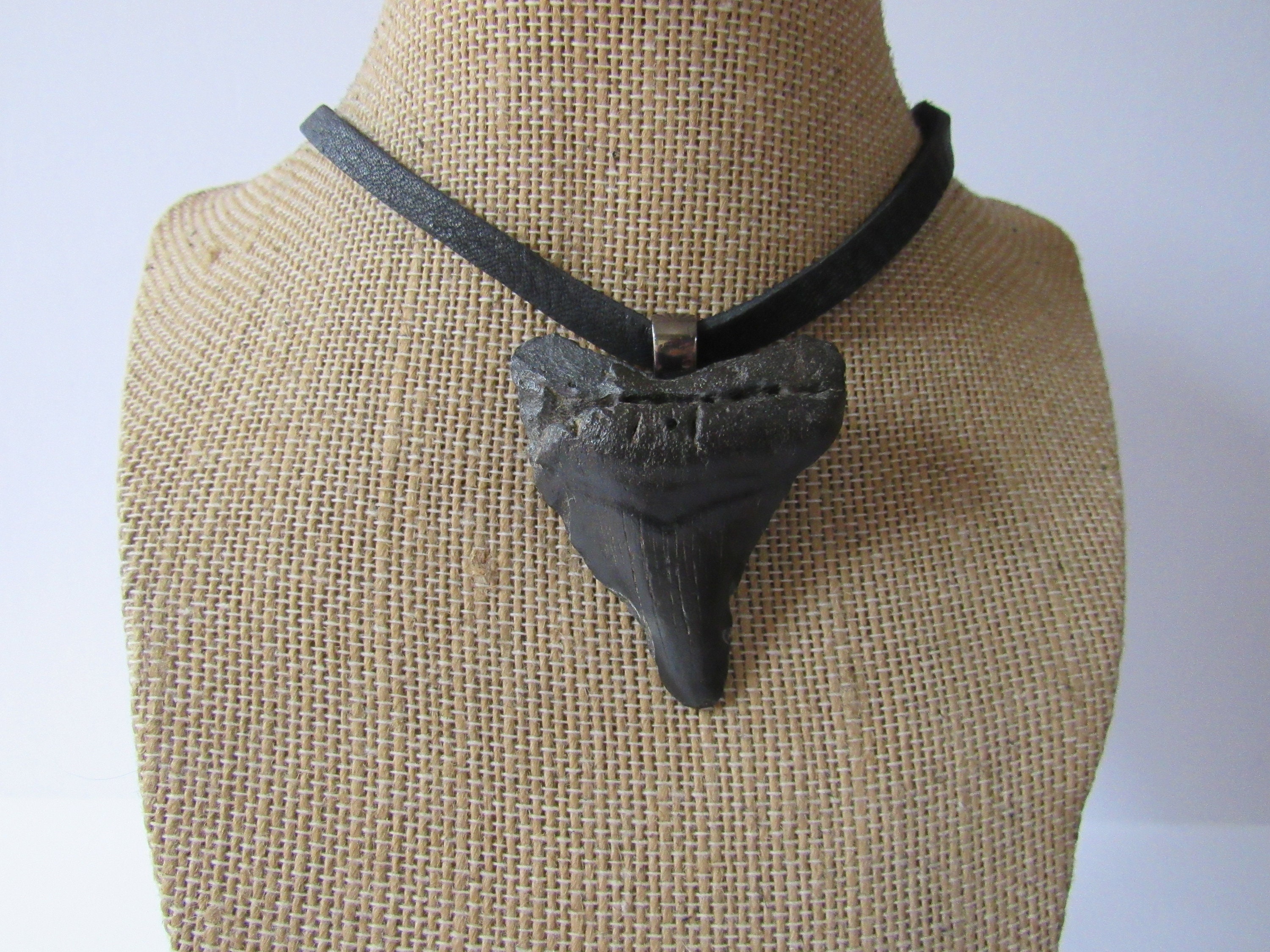 メガロドンの歯ペンダント サメの歯ネックレス 化石骨ジュエリー 天然