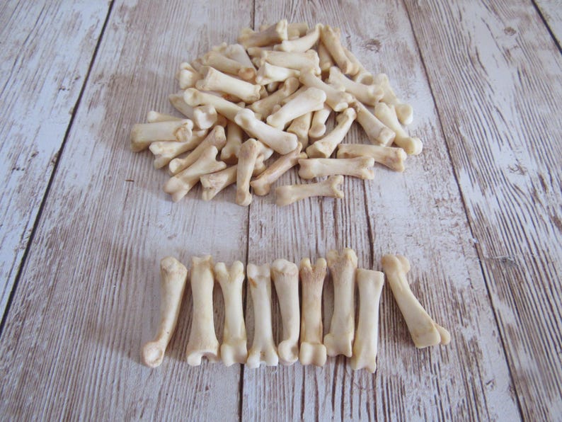 10 Coyote Toe/Foot Bone Metatarsals Bones Craft Supplies Hairpipe Beads Tribal Jewelry Animal image 3