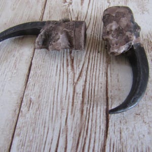 2 Garras de Águila de Resina de 5 cm (2 pulgadas) para Joyería y Manualidades imagen 3