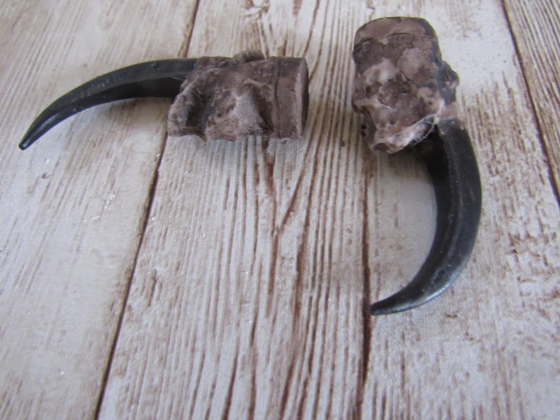 2 Garras de Águila de Resina de 5 cm (2 pulgadas) para Joyería y Manualidades imagen 3