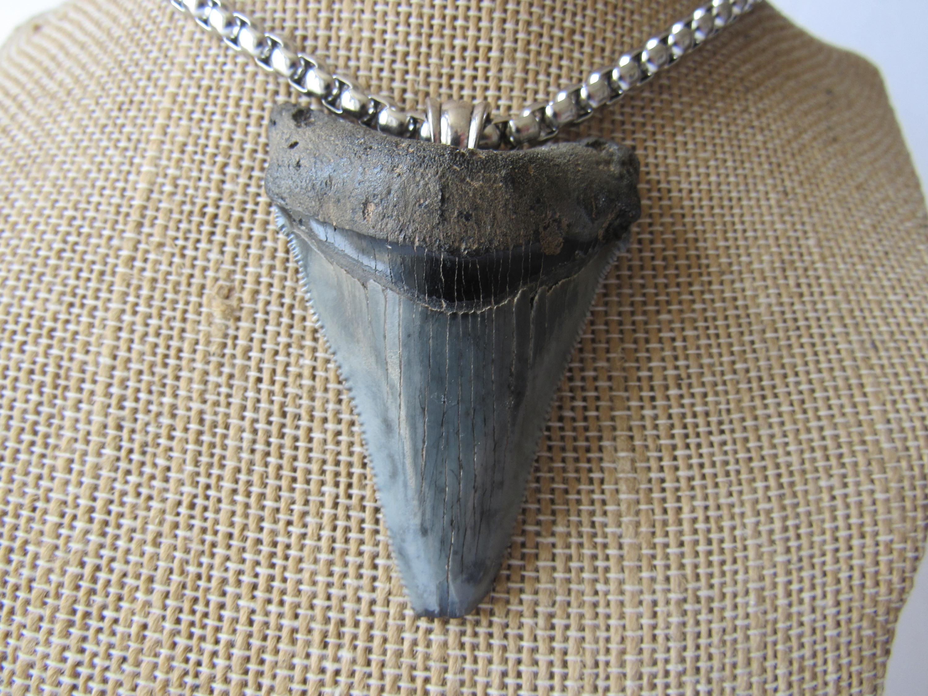 メガロドンの歯ペンダント サメの歯ネックレス 化石骨ジュエリー 天然