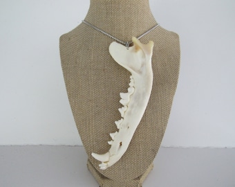 Coyote Jawbone  Pendant Buckskin Chain Necklace  Statement Necklace Animal Bone Jewelry