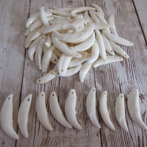 10  Coyote Teeth Fangs Canine Animal Teeth Pre-drilled  Jewelry Beads Craft Supplies  Projects Taxidermy