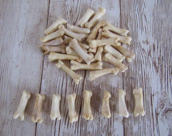 10 Red Fox Toe/Foot Bone Metatarsals Bones Craft Supplies Hairpipe Bone Beads Tribal Jewelry Animal Bones ( Vulpes vulpes)
