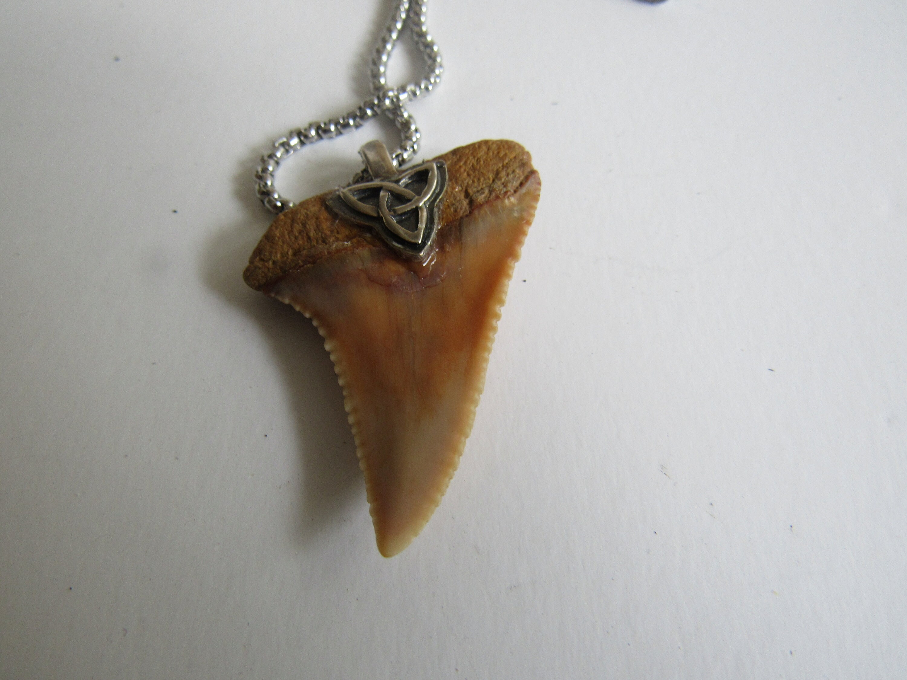 Great White Shark Tooth Pendant Animal Bone Necklace Fossilized Bone