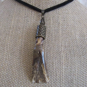 Buffalo Tooth Pendant Animal Tooth Necklace Tribal Spirit Animal Jewelry N6095