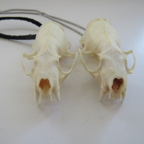 Mink Skull Top Necklace Bone Leather Jewelry Tribal Unique Animal Bone Jewelry