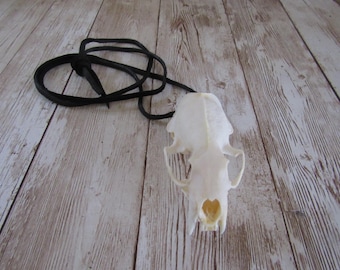 Mink Skull Top Necklace Bone Tribal Unique Animal Bone Jewelry (Neovison Vison)