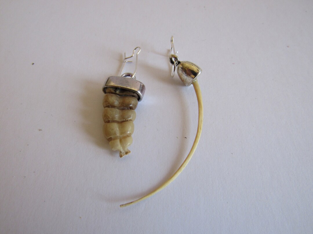 Rattlesnake Rattler Tail & Rib Bone Earrings Jewelry Diamondback Snake ...