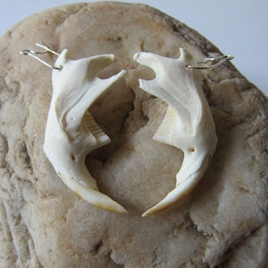 Muskrat Jawbone Earrings Spirit Jewelry Animal Bone Jewelry