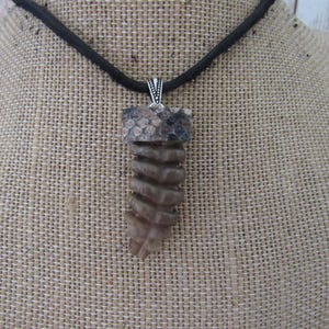 May include: A pendant necklace featuring a brown, spiraled, tooth-like fossilised object capped with a textured, grey and black snakeskin-patterned material. The pendant hangs from a simple black cord, showcasing a distinct, organic, and layered design.