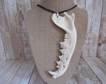 Coyote Jawbone Pendant Necklace Statement Animal Bone Jewelry