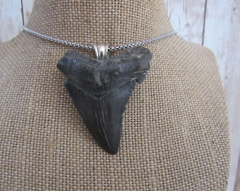 メガロドンの歯ペンダント サメの歯ネックレス 化石骨ジュエリー 天然