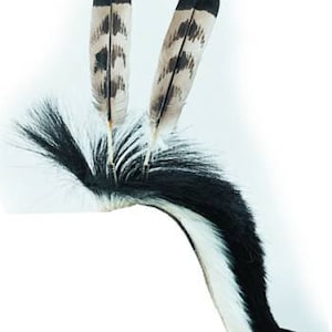 May include: A black and white skunk tail with two brown and black feathers attached to the top.