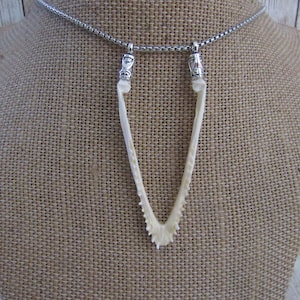 May include: A distinctive necklace with a bone pendant in a V-shape, hanging from a silver-coloured chain. The bone has a natural, off-white colour and a textured surface. The necklace is displayed on a burlap-covered bust.