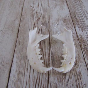 Ohrringe aus Nerzkieferknochen, Spirit Jewelry, Schmuck aus Tierknochen (Neovison Vision)