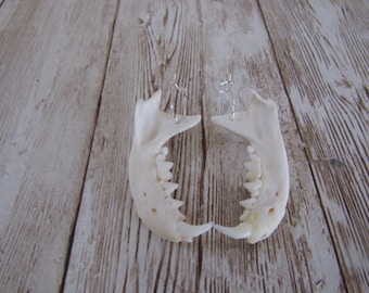 Mink Jawbone Earrings Spirit Jewelry Animal Bone Mandible Jewelry (Neovison Vison)