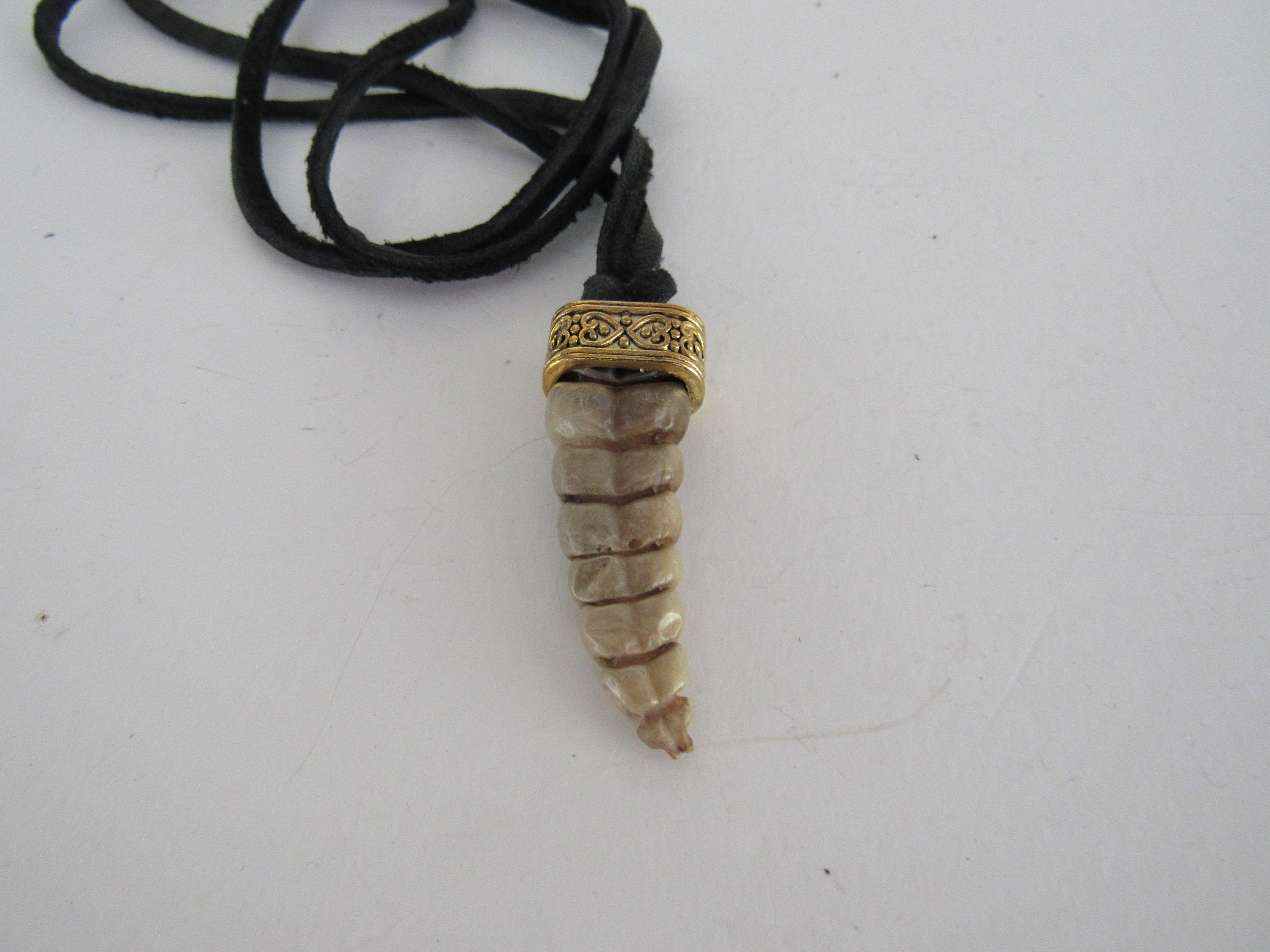 Rattlesnake Rattler Pendant Snake Necklace Spirit Animal Bone | Etsy