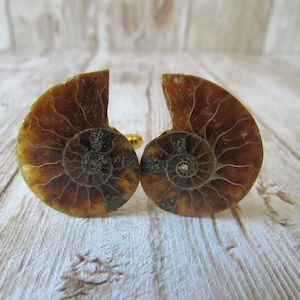 May include: A pair of cufflinks featuring a fossilized ammonite design. The cufflinks have a spiral pattern in shades of brown and tan, with a gold-colored post. The background is a light wood surface.