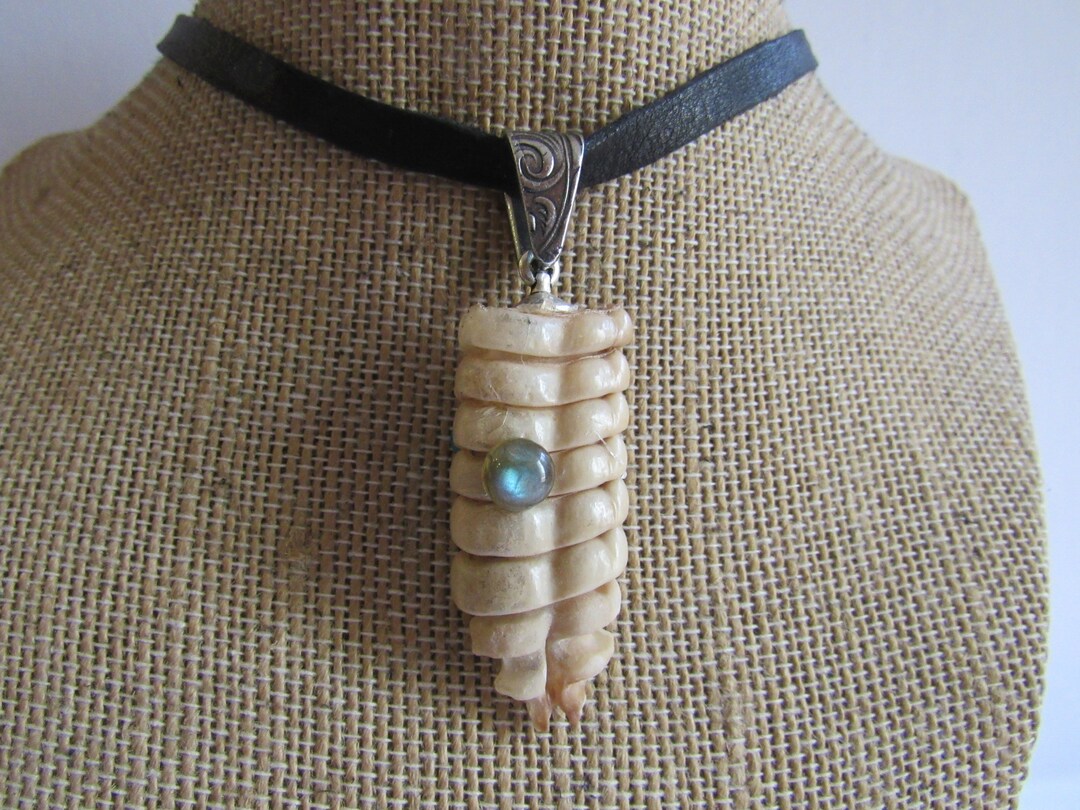 Rattlesnake Rattle Pendant Snake Necklace Spirit Animal Bone Jewelry ...