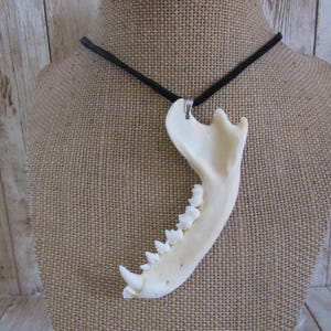 Collar con colgante de mandíbula de mapache, joyería de hueso de animal