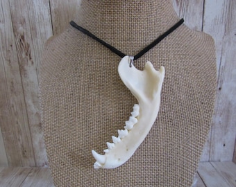 Raccoon Jawbone Pendant Necklace Animal Bone Jewelry