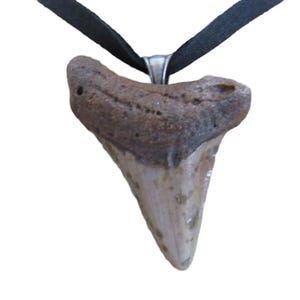 Megalodon Tooth Pendant Shark Tooth Necklace Fossilized Bone Jewelry Natural Carcharocles N4778