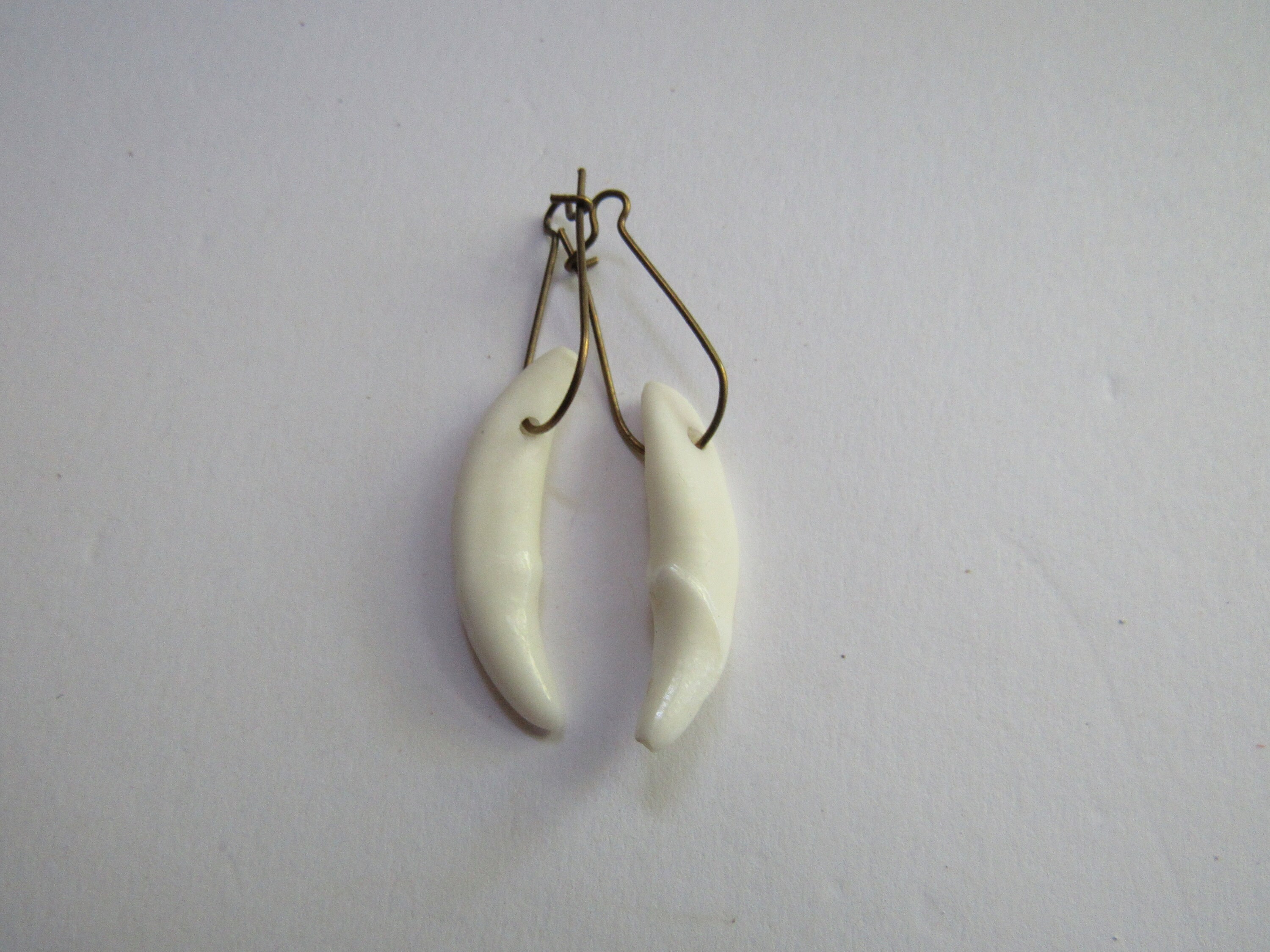 Animal tooth earrings sale