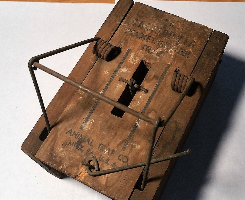 44 California Pocket Gopher Trap Etsy