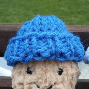 May include: Two plush toys wearing blue knitted hats. The toy on the left is brown and has a smiling face. The toy on the right is white and has a black beak.
