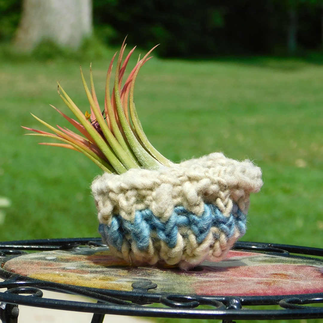 Knit Air Plant Container Loom Knit Home Decor Whimsical - Etsy