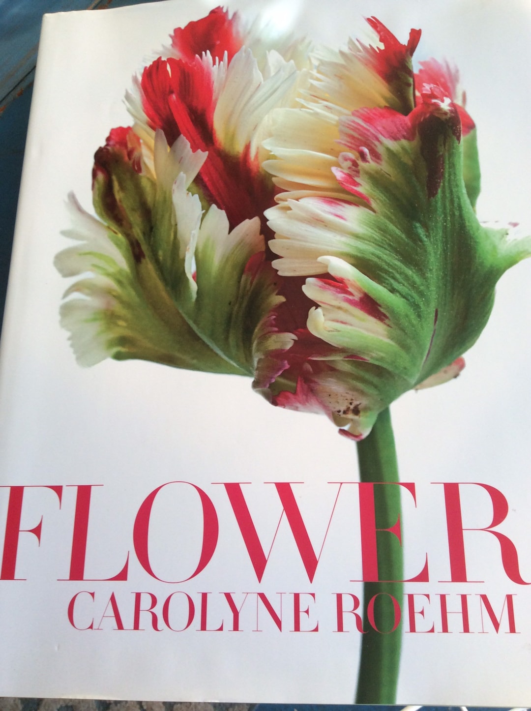 Vintage Book. Photograph Art Flower Book Vintage Flower Art Etsy