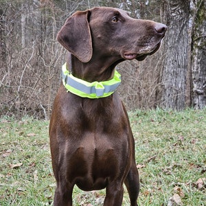 Reflective Collar Sleeve