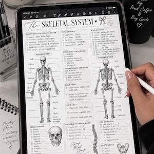 Peut inclure: Une tablette numérique affichant un guide d'étude éducatif détaillé intitulé The Skeletal System, présentant des schémas anatomiques du squelette humain, des listes de types d'os, des repères osseux et diverses fonctions du système squelettique.