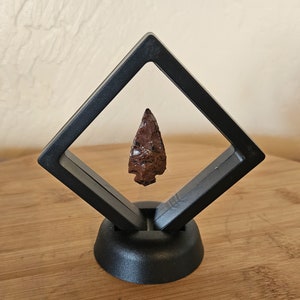 Può includere: Una punta di freccia marrone scuro esposta in una teca nera a forma di diamante con una base nera.