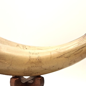 May include: A curved, off-white powder horn featuring a dark brown wooden base with a small metal loop. The surface is etched with faint line drawings of a building and a ship, along with the text "A.R." and "ORANGE". A dark metal band encircles the tip.