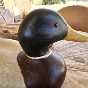 Pode incluir: Um chamariz de pato em madeira esculpida com cabeça preta lisa, bico amarelo-dourado e um anel branco à volta do pescoço. O corpo transita de um peito castanho escuro para um dorso bege claro texturado, exibindo veios e marcas de entalhe.