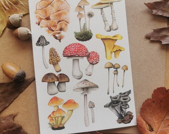 Mushroom Greeting Card. 100% recycled paper