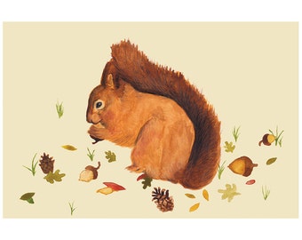 Squirrel Illustration - Archival Print A4 - 297x210 - Nursery, Children