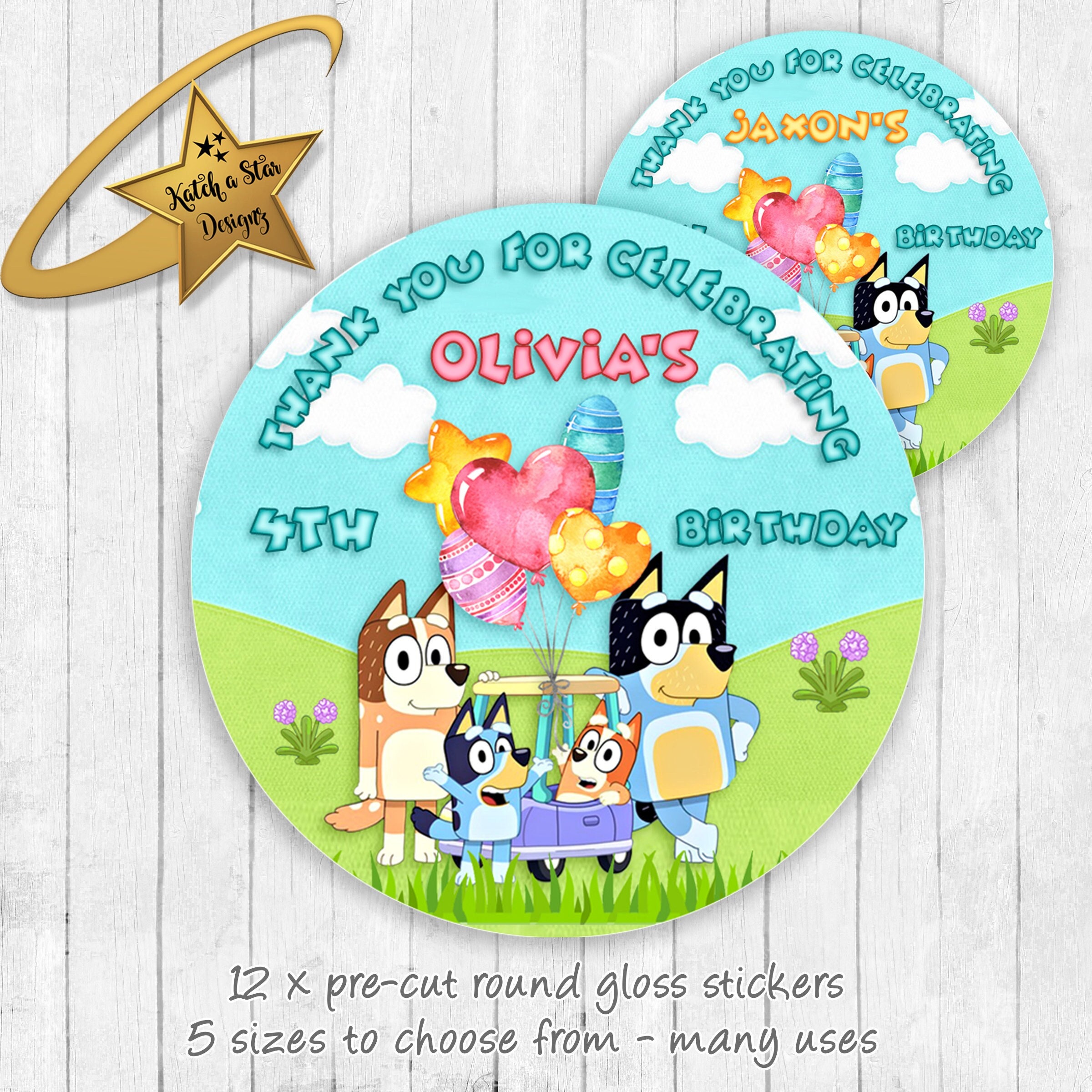 Bluey Birthday Personalised Round Gloss Birthday Party - Etsy