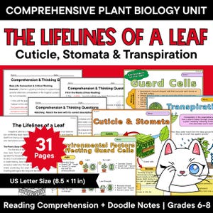 Pflanzenbiologie: Kutikula, Stomata, Transpiration – Skizzen, Notizen, Leseverständnis-Paket; Schließzellen – Arbeitsblätter für die Klassen 6–8