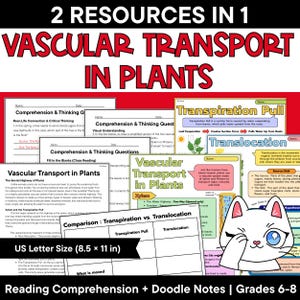 Vascular Transport in Plants Reading Comprehension Doodle Notes Bundle, Xylem Phloem Transpiration Translocation Worksheets Grade 6-8