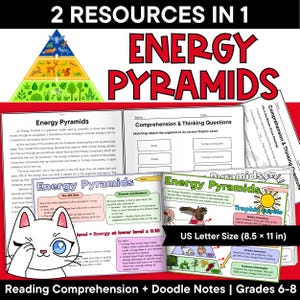 May include: Educational resource set titled 2 Resources in 1 Energy Pyramids featuring worksheets with text, diagrams, and comprehension questions. Includes US Letter Size 8.5 x 11 inches text, a cartoon cat illustration, and biology content.